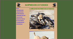 Desktop Screenshot of kogundogs.com